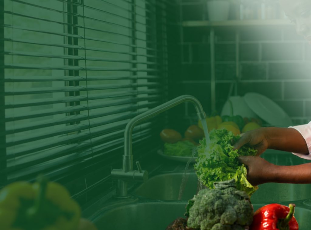 HIGIENE E SEGURANÇA ALIMENTAR